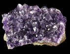 Sparkling Amethyst Crystal Cluster - Uruguay #43163-1